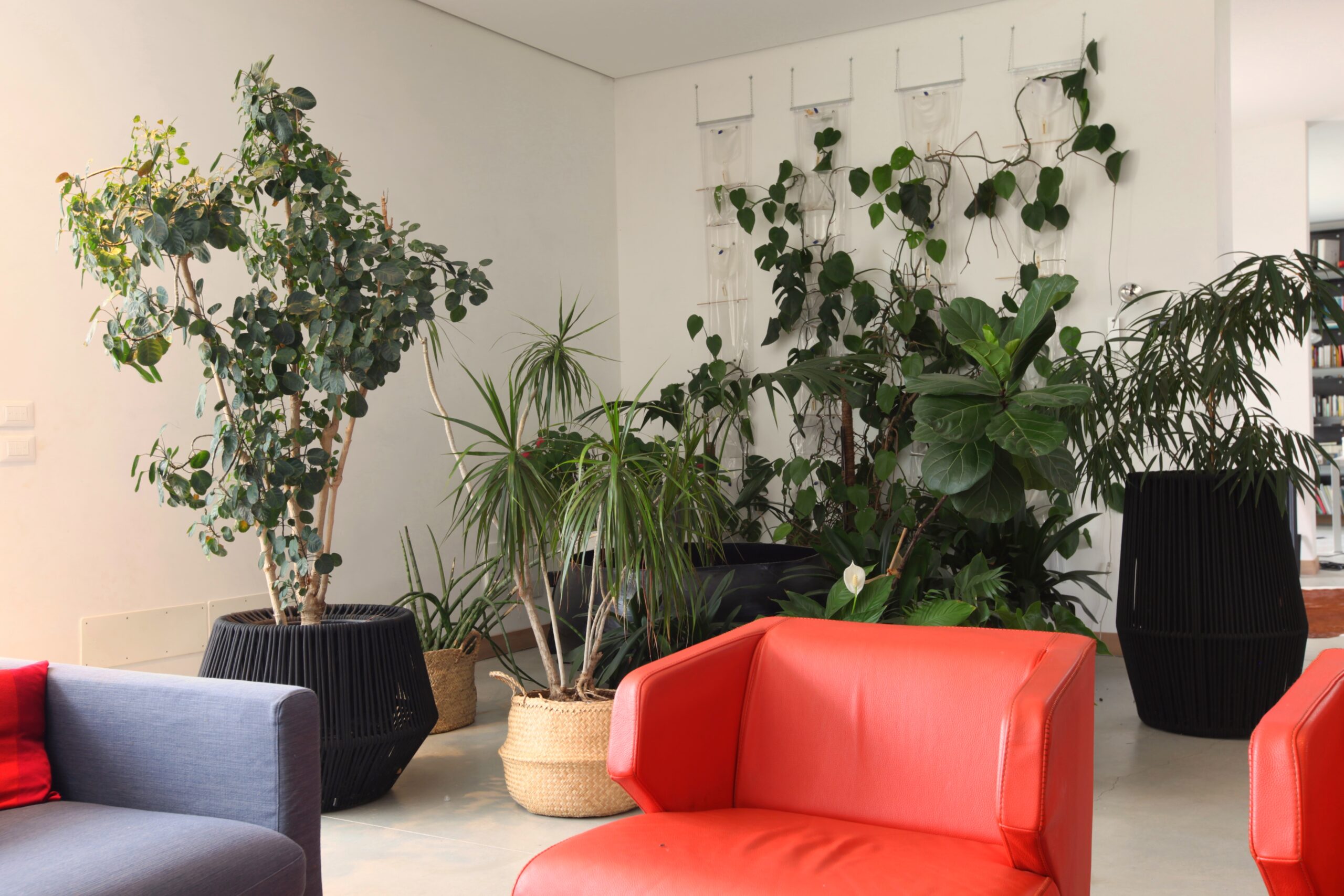 Vetrate a piena altezza nel living di Casa Nava, con luce naturale per shooting